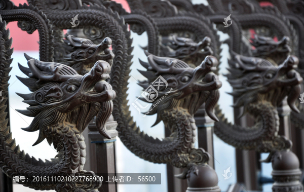 龍