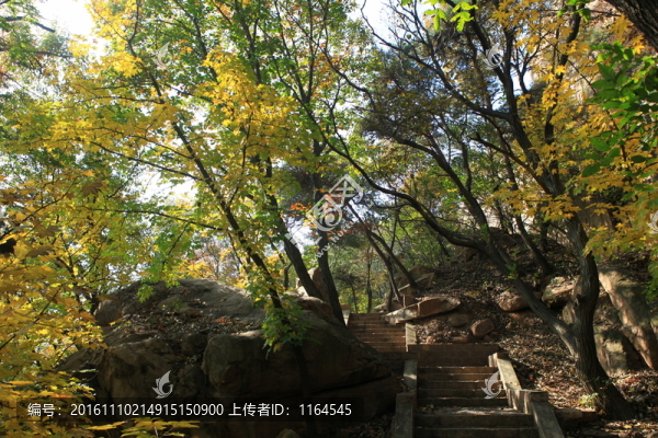 五蓮山層林盡染秋,色彩斑斕迷人