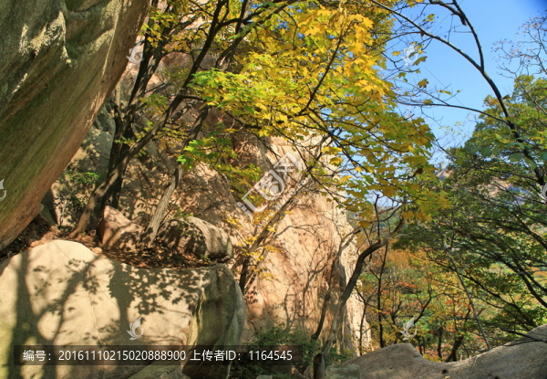 五蓮山層林盡染秋,色彩斑斕迷人