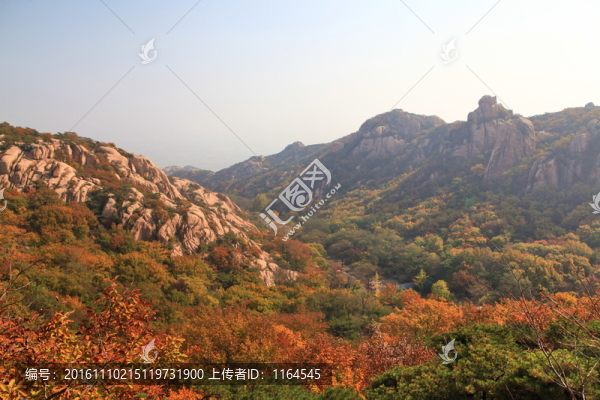 五蓮山層林盡染秋,色彩斑斕迷人