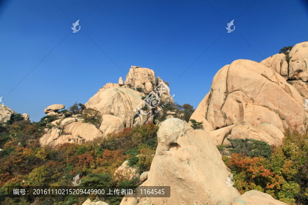 五蓮山層林盡染秋,色彩斑斕迷人