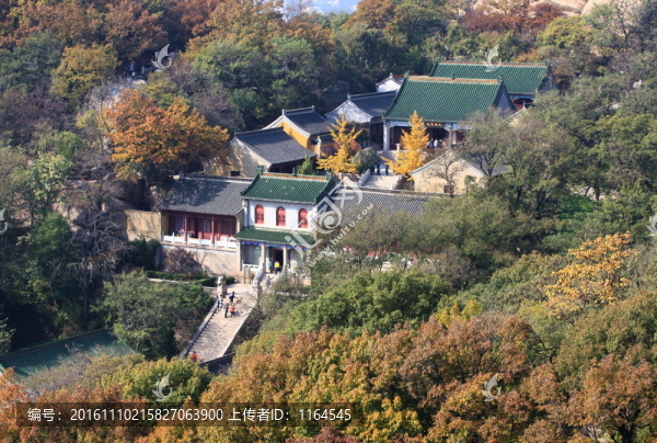 五蓮山層林盡染秋,色彩斑斕迷人