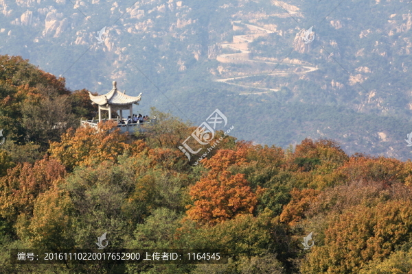 五蓮山層林盡染秋,色彩斑斕迷人