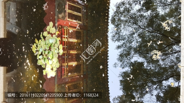 故宮慈寧宮臨溪亭倒影