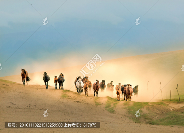 鐵蹄揚(yáng)塵