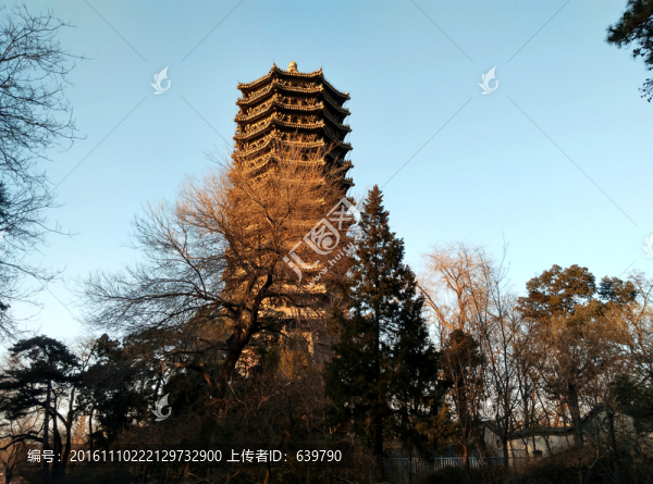 博雅塔