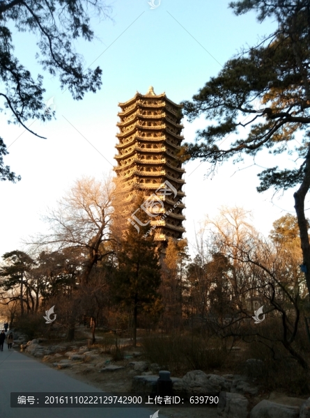 博雅塔