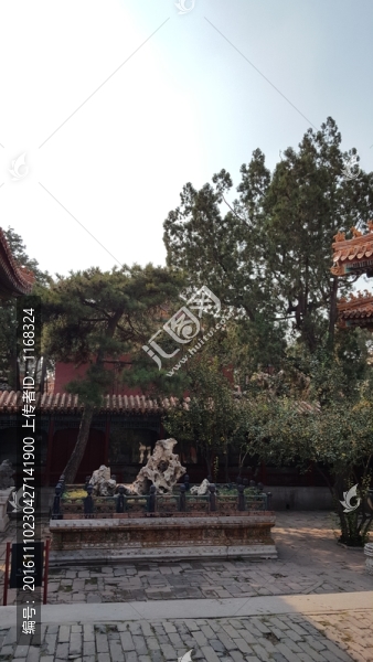 故宮園藝風光特寫