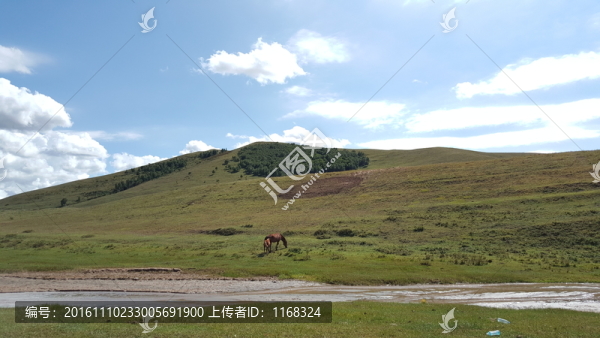 豐寧壩上草原自然風(fēng)光