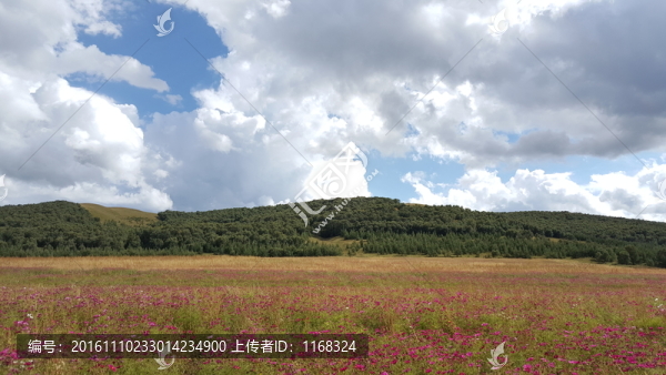 豐寧壩上草原自然風(fēng)光