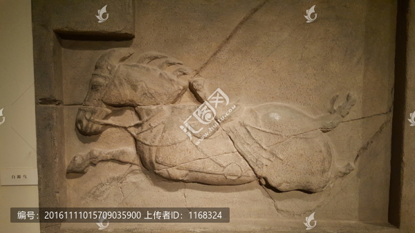 國家博物館藏白蹄烏石刻