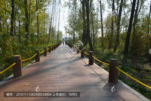 南京魚(yú)嘴濕地公園