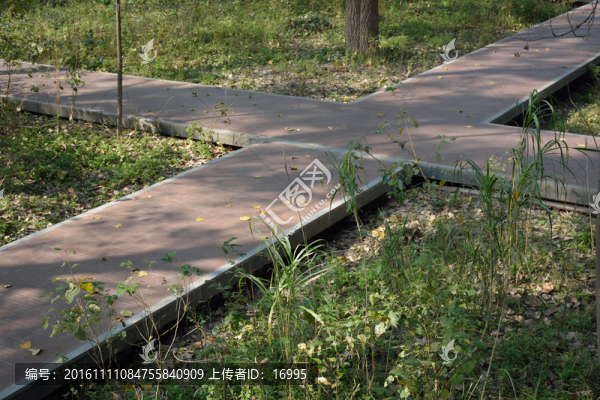 十字路口
