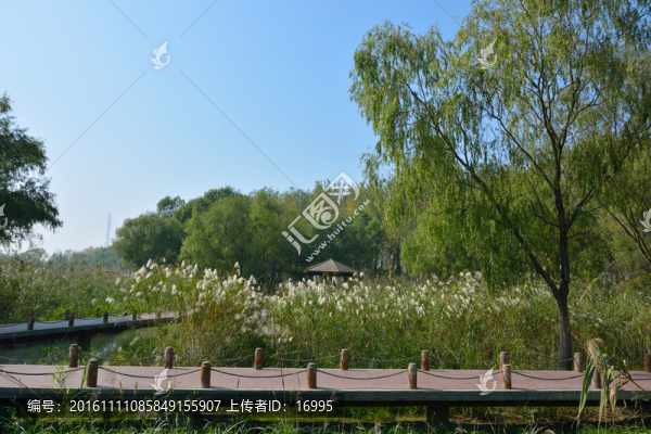 南京魚(yú)嘴濕地公園