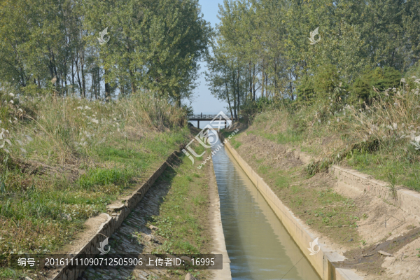 南京魚(yú)嘴濕地公園
