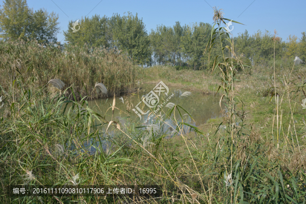 南京魚嘴濕地公園