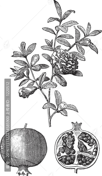 石榴雙花和水果復(fù)古雕刻