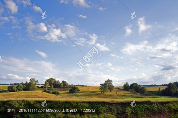 夏天的風(fēng)景