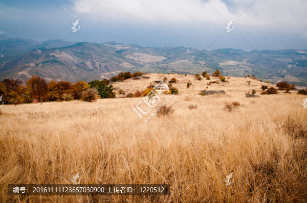 尼斯山觀