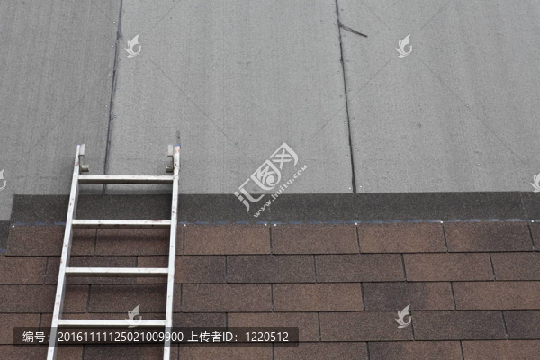 梯子上屋頂