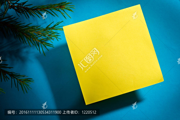 藍色背景上的貼紙和樅樹