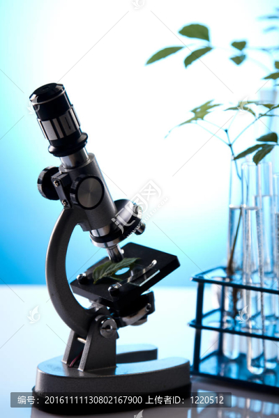 科學(xué)實驗與植物