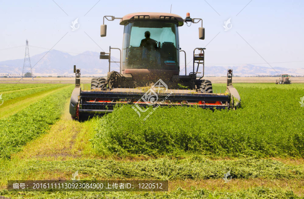 割苜蓿田聯(lián)合收割機