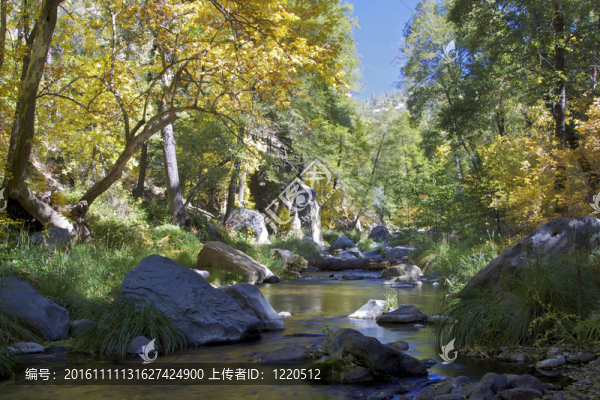 懶惰的山間溪流