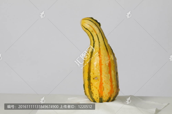 觀賞Gourd,Squash