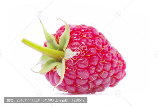 覆盆子