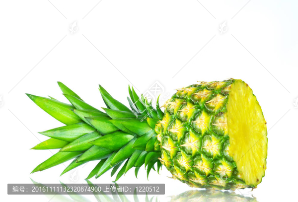 菠蘿