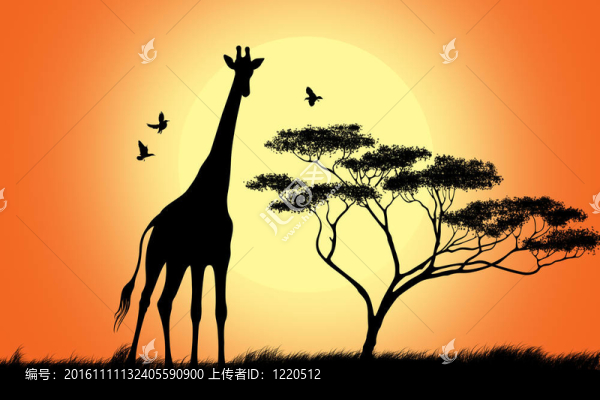長頸鹿