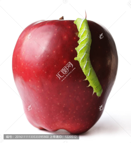 卡特彼勒對蘋果