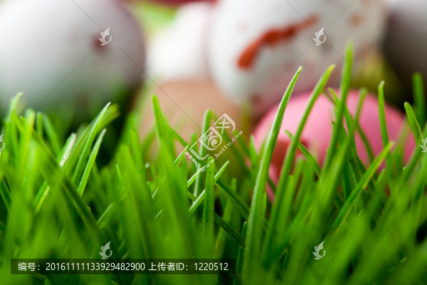 草背景與復(fù)活節(jié)雞蛋