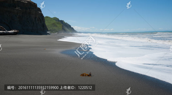 Hills到海灘。