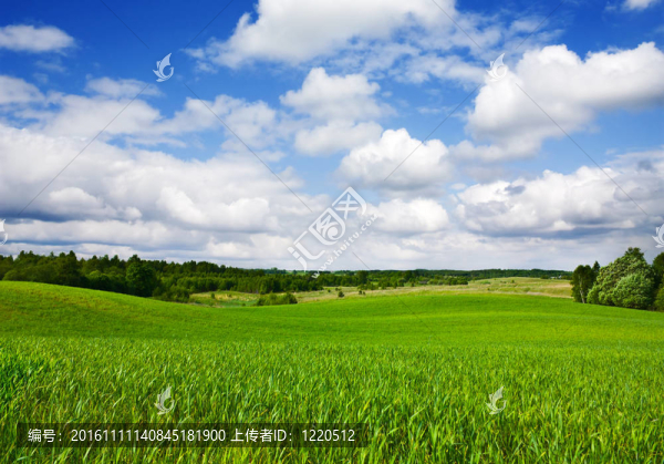 夏天的風景