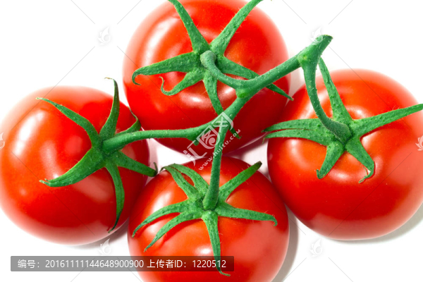 西紅柿