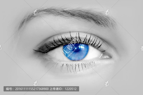 美麗的女性藍(lán)眼睛。微距拍攝