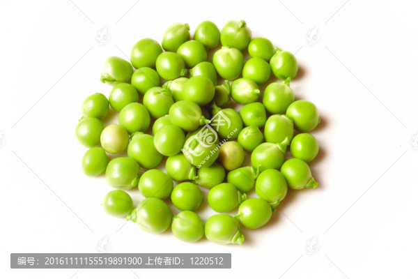 白豌豆上分離的綠豌豆