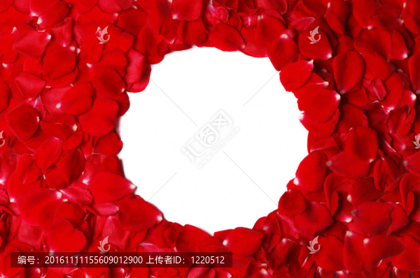 玫瑰花瓣架
