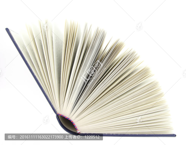 白色背景下的書