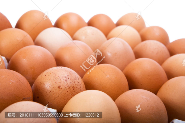 雞蛋