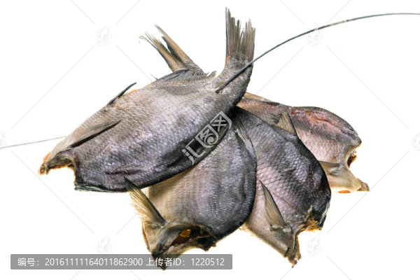 白底干魚