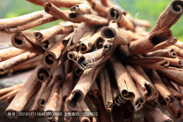 查看一堆肉桂香料