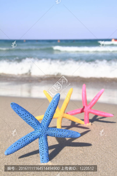 夏天海灘上五顏六色的海星