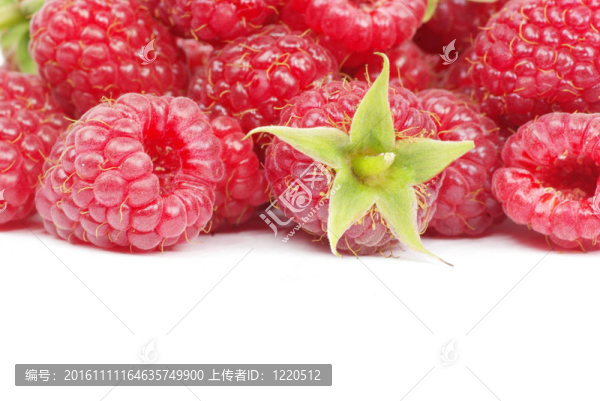 覆盆子