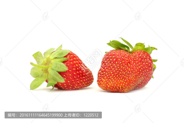 草莓