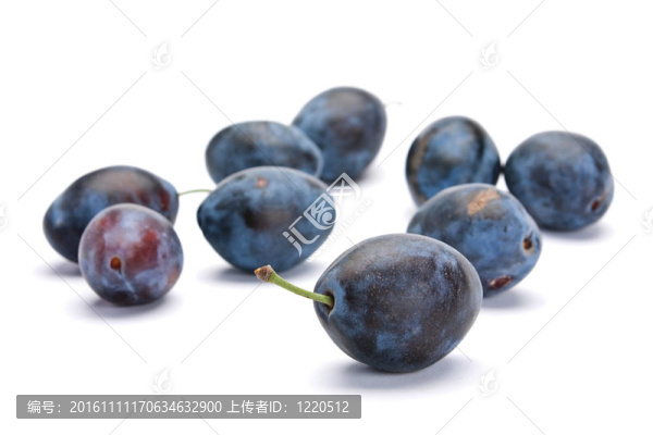 藍色的李子