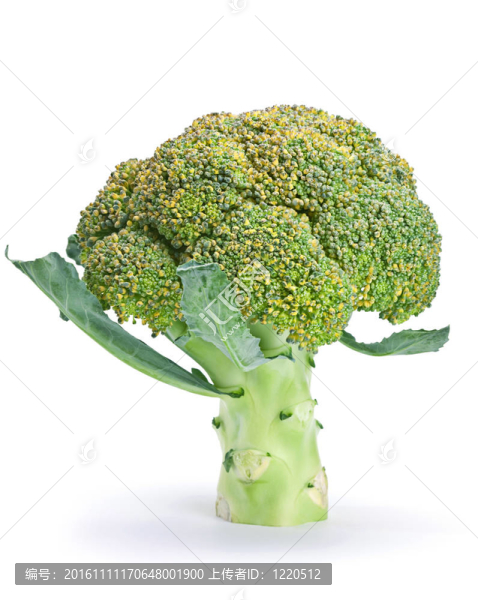 西蘭花白菜