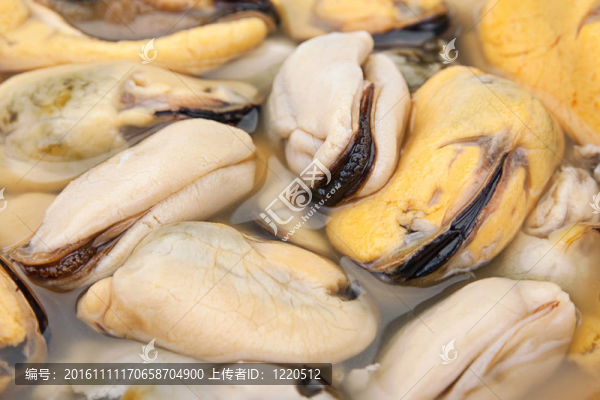 煮黃貽貝